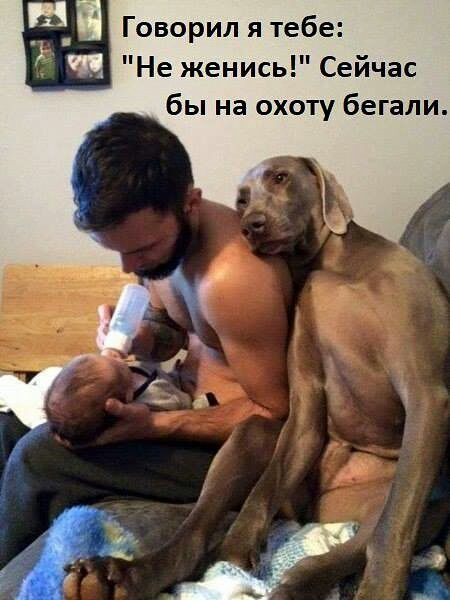 Просто юмор #25