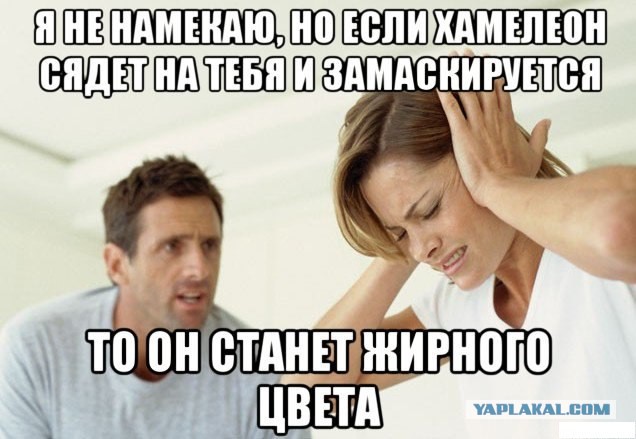 Полным барышням не в обиду:(