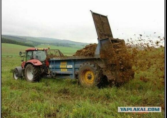 Кинул в девушку носок с ......