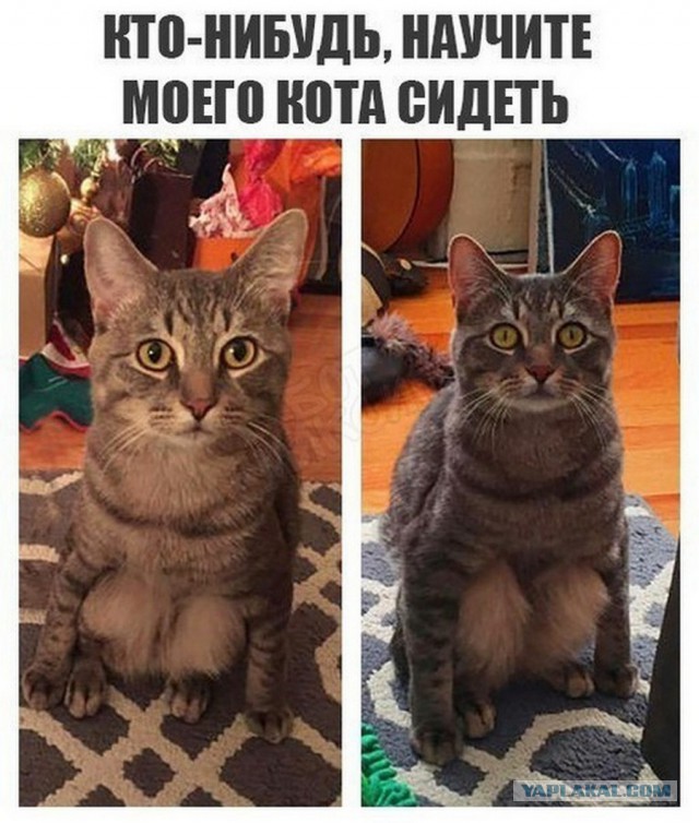 Немного странного юмора на вечер