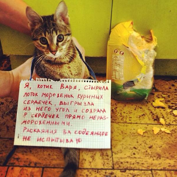 Калейдоскоп картинок