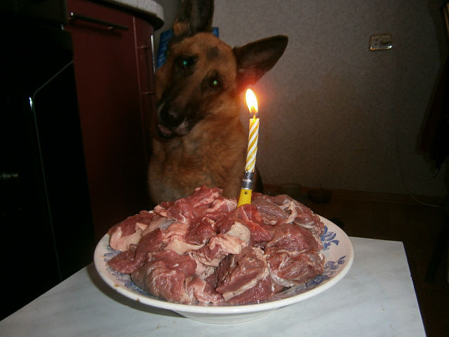 К сожалению, день рожденья..