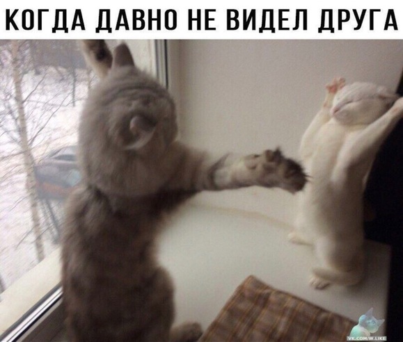 Картинки с надписями и анекдоты 17.09.19