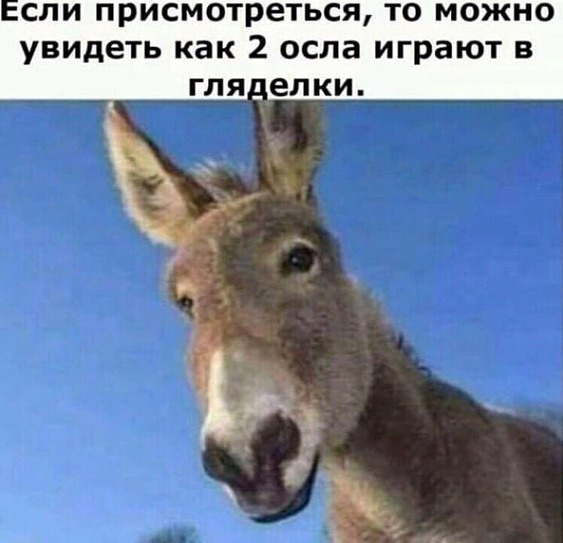Бредзона