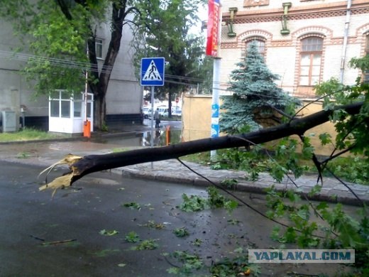 Ураган во Львове.