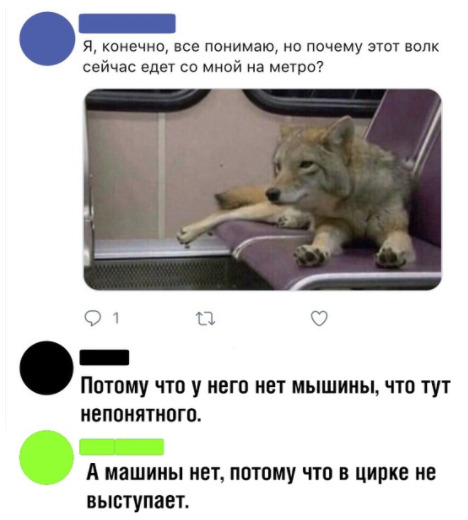 Чуток картинок! 30.10.19
