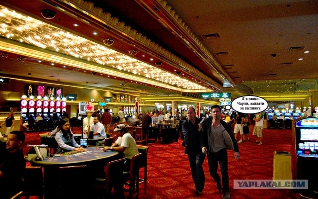 7 Психопатов хотят с тобой познакомиться!