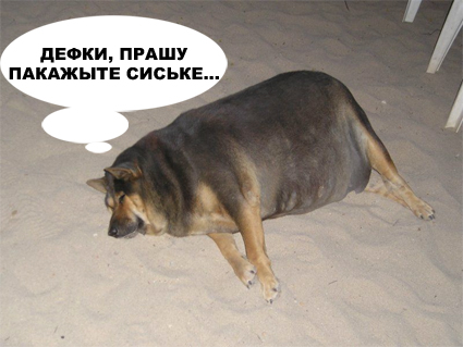 Фотожаба: О чем же думает собака?....