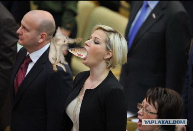 Фотожаба: Депутатка 80 lvl