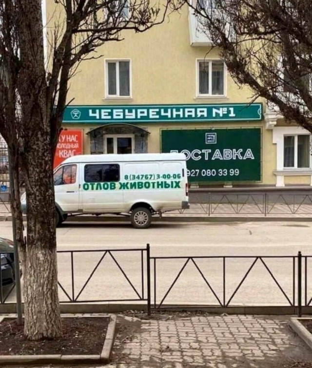 Дурацкие картинки