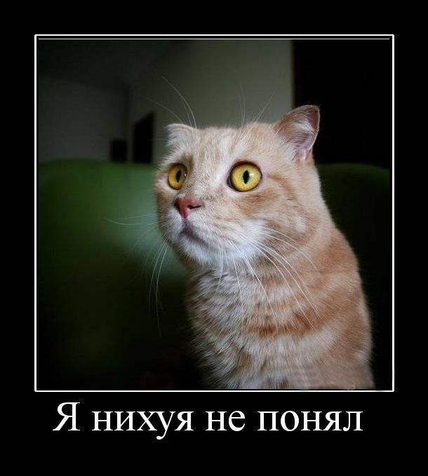 Магия