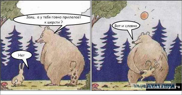 Закон- тайга, медведь за прокурора!