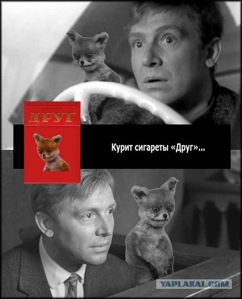 Таксидермия + наркомания