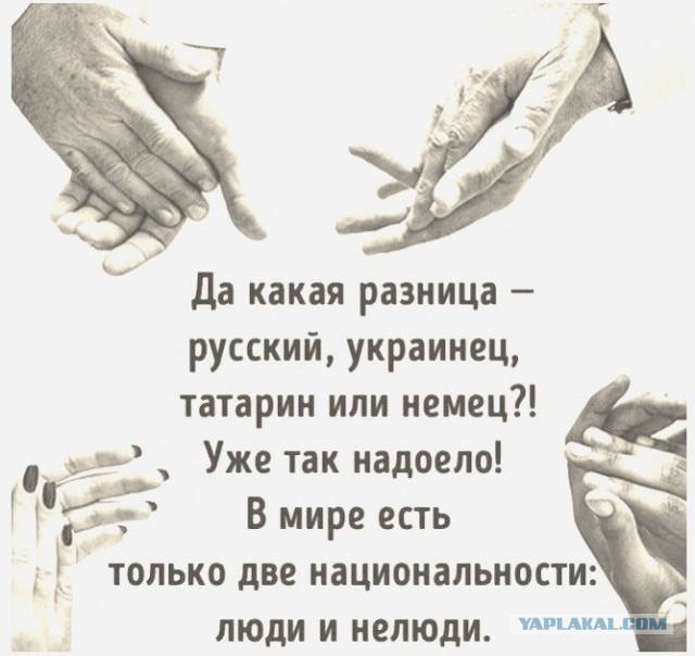 Подборка картинок 03.02.2021