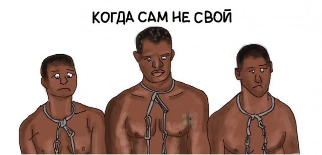 Самки горилл разбушевались