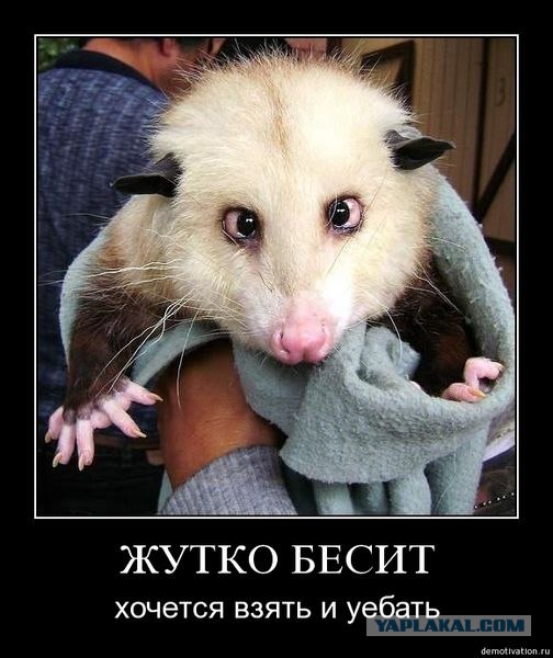 На каком основании вы тут стоите?