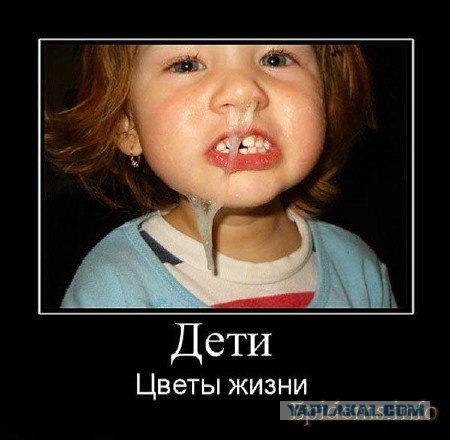 Догонялки