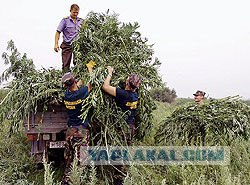 Как победить кризис