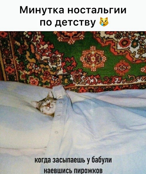 Картинки и мемы для настроения 12.08.2021