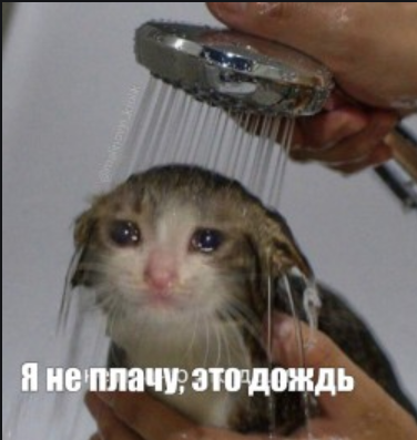 Что вы будете делать в локдаун?