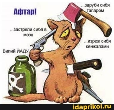 Вопросик защитникам Родины