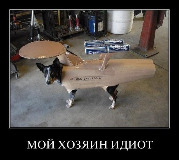 Тем временем в Волгограде