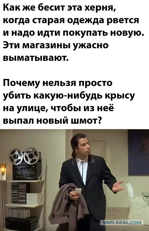 Весёлый полтишок 10.06.22
