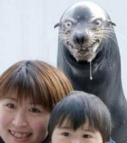 Берег скелетов...