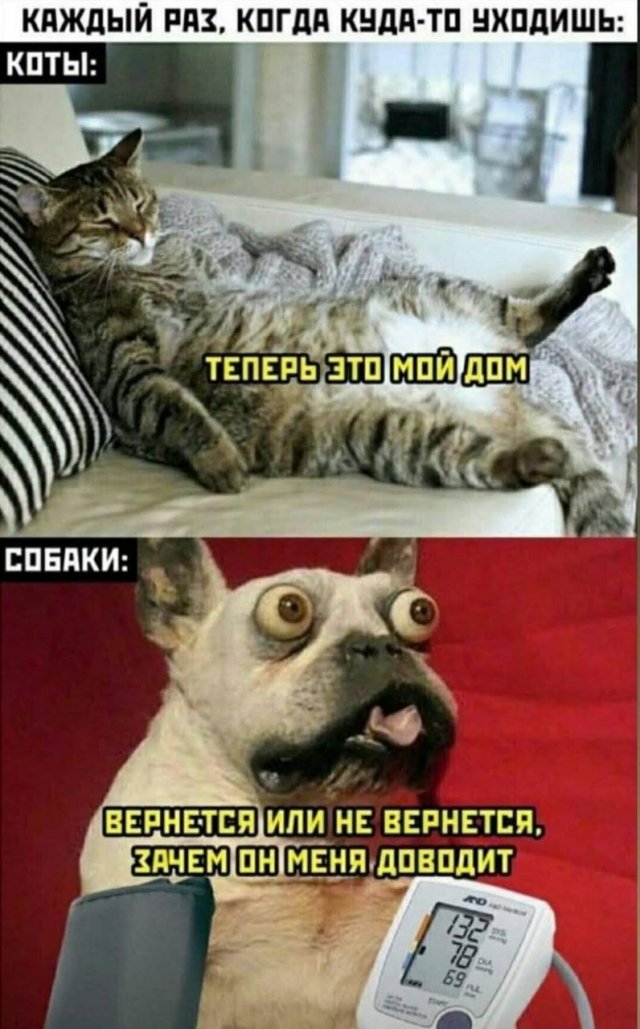 Так себе картинки 10.09.22