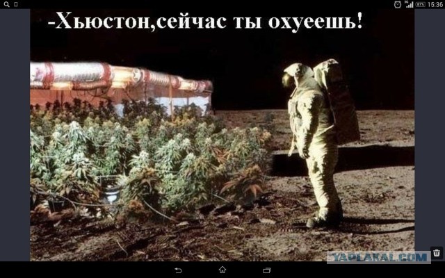 Прикольные и просто красивые картинки 25.11.2022