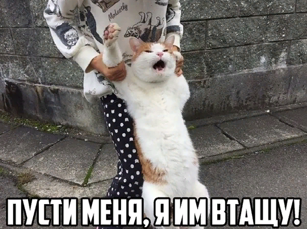 Я чёт не понял, так и должно быть?