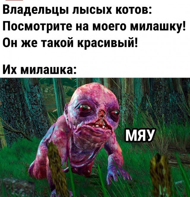 Какой милый зайчик.