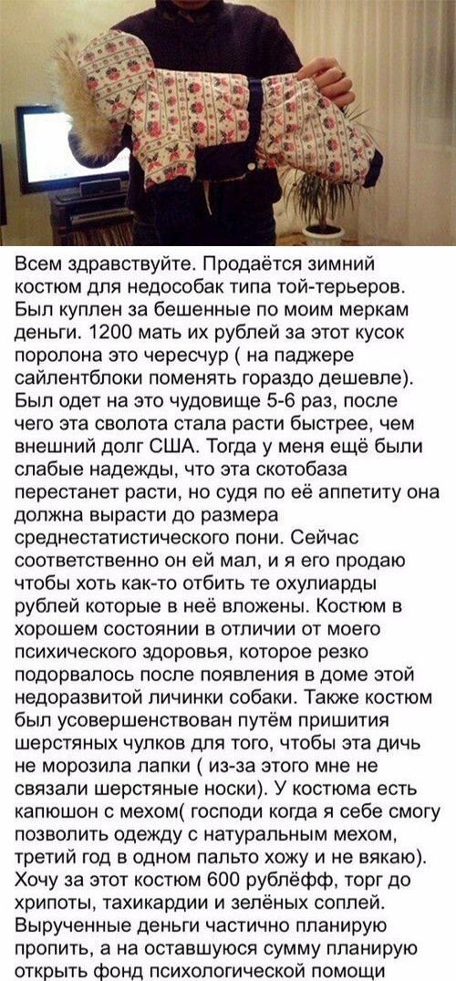 Юмор в картинках и без 21.02.2023