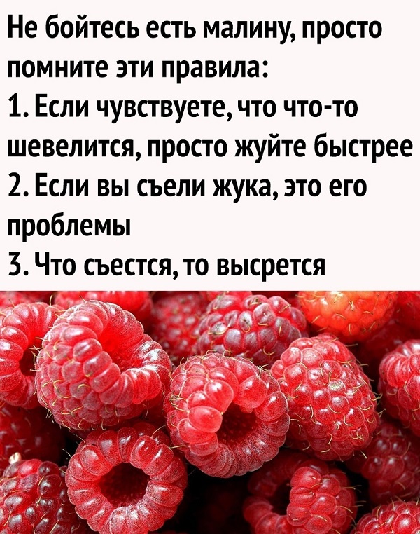 Нуштош 22.03.2023