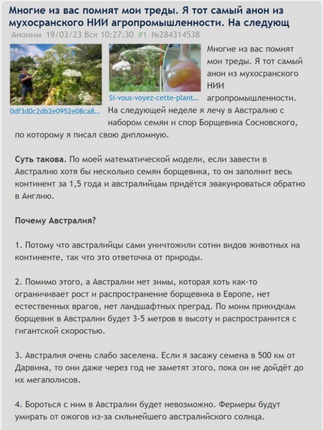 Бирманский питон: Американцы выпустили его у себя по ошибке, а змей адаптировался и теперь разбирает экосистему на части