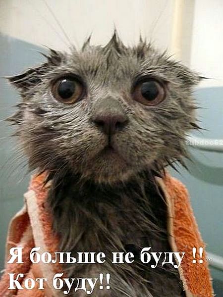 Короткие истории про нас и не про нас (с картинками)