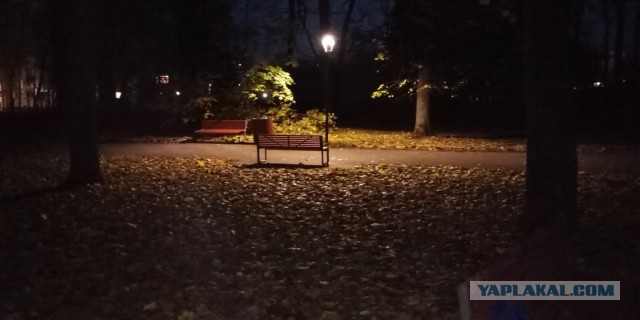 Красивые фото ЯПа