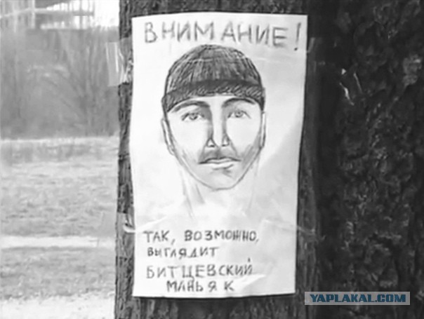 Серийный убийца — Александр Юрьевич Пичушкин ("Битцевский маньяк")