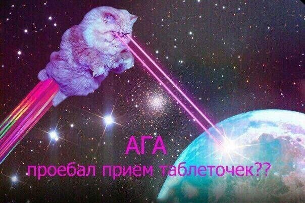 Всего понемногу. От 17.01.24
