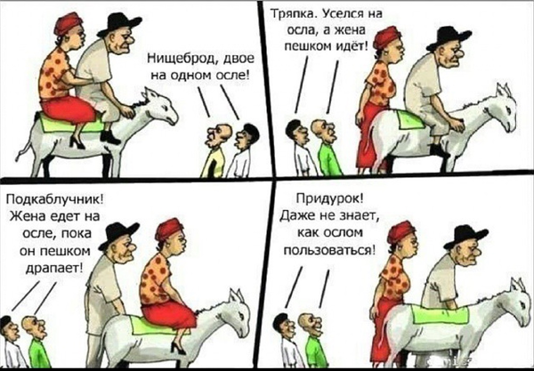 Проводник, не высадившая больного кота, временно отстранена от работы