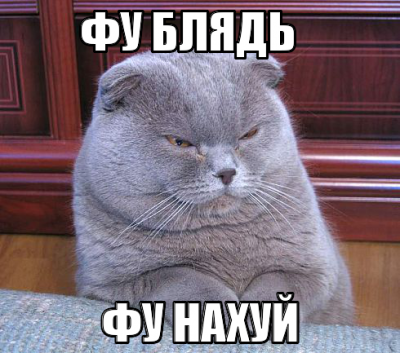 Волна протеста против гомофобии