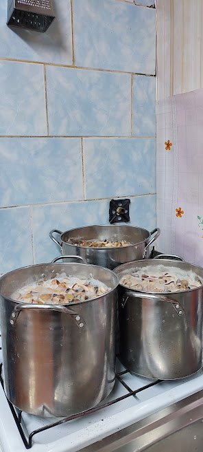 Грибы. Чувашия.