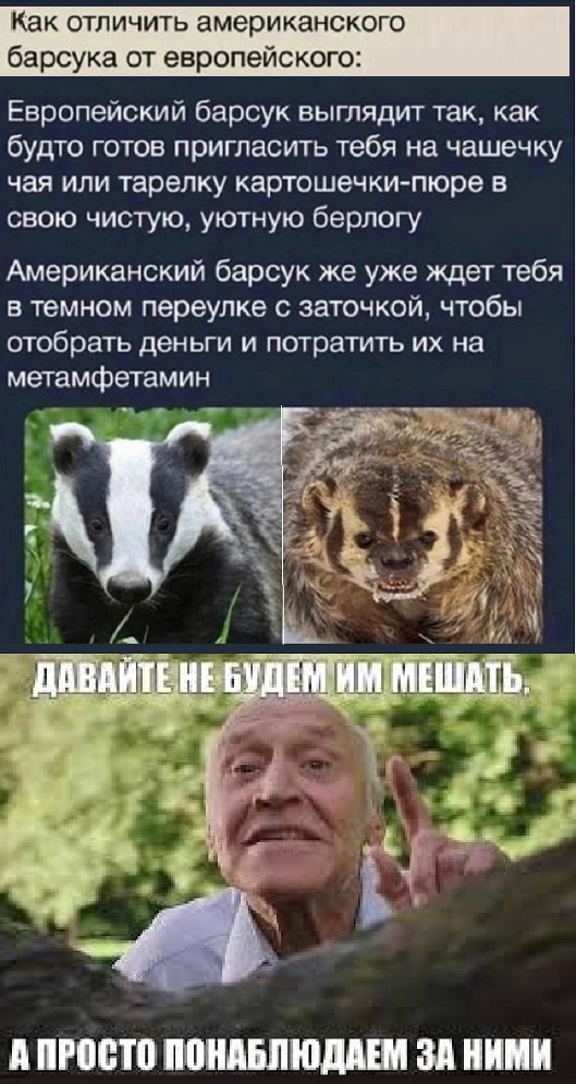 Картинки разные с надписями и без