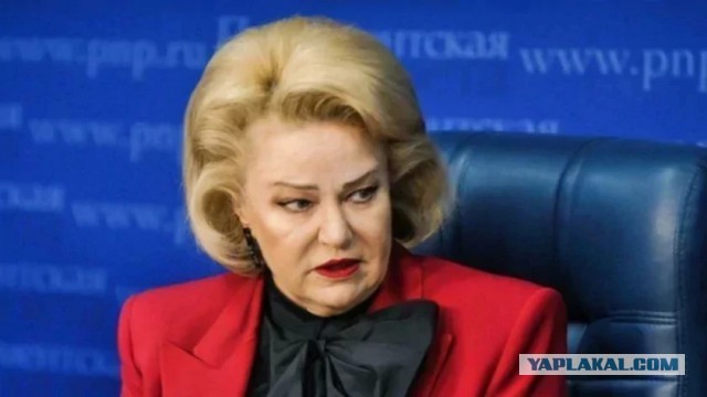 Ни денег, ни жилья. Депутат Госдумы с Алтая нашла вину мужчин в отказе женщин рожать