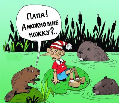 Так себе картинки 20.10.24