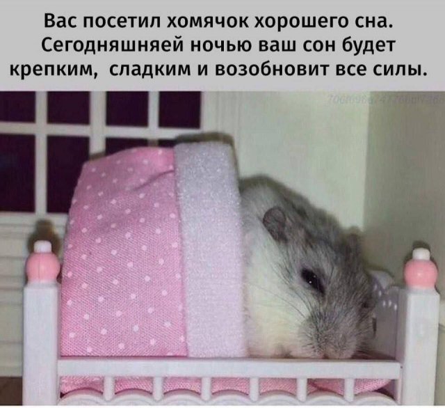 Так себе картинки 27.10.24