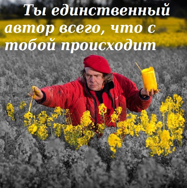 Весёлый полтишок 11.11.24