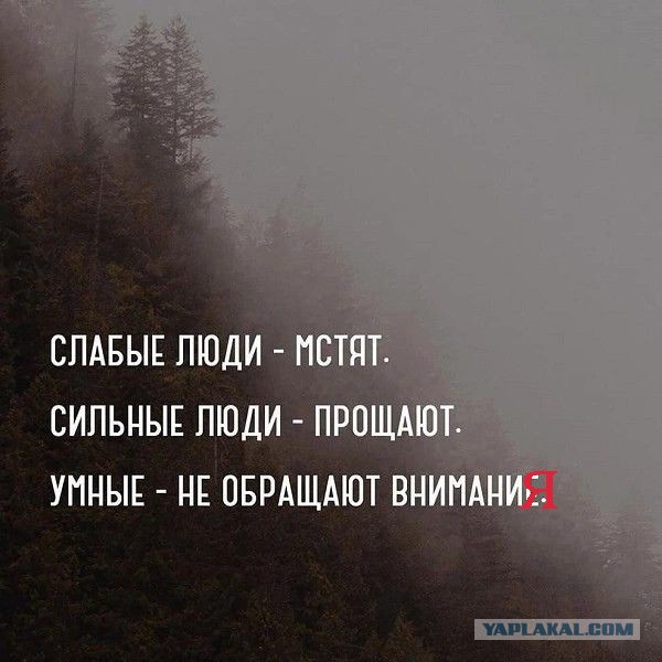 Прикольные и просто красивые картинки 10.01.2025