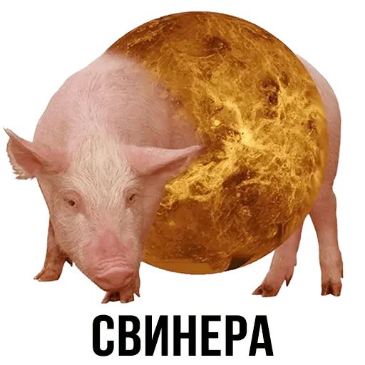 Укуренные картинки