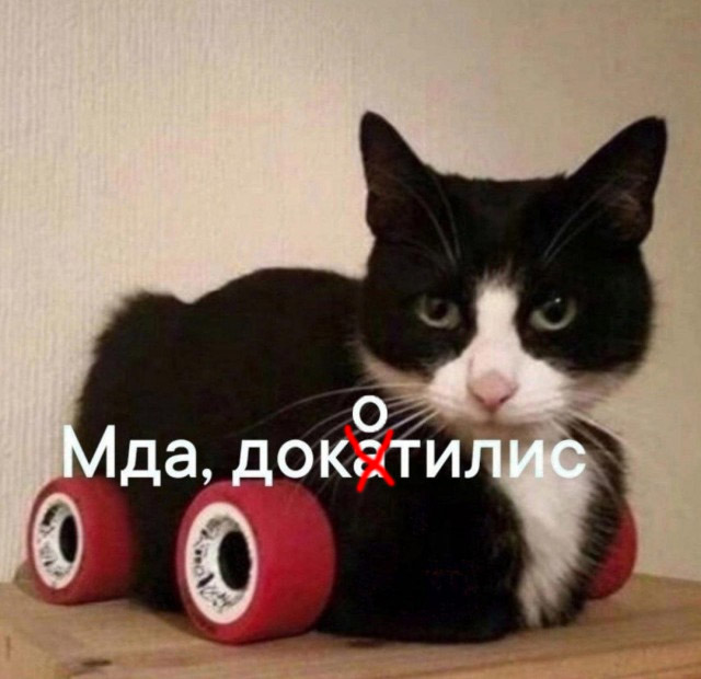 Весёлый полтишок 06.06.25